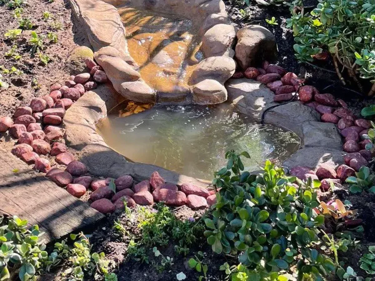 Fish Pond Medium
